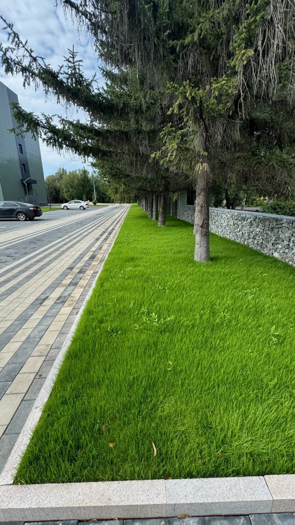 Green Line